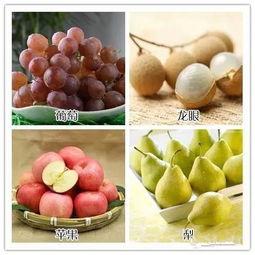 瓜栗果实会吃坏肚子吗